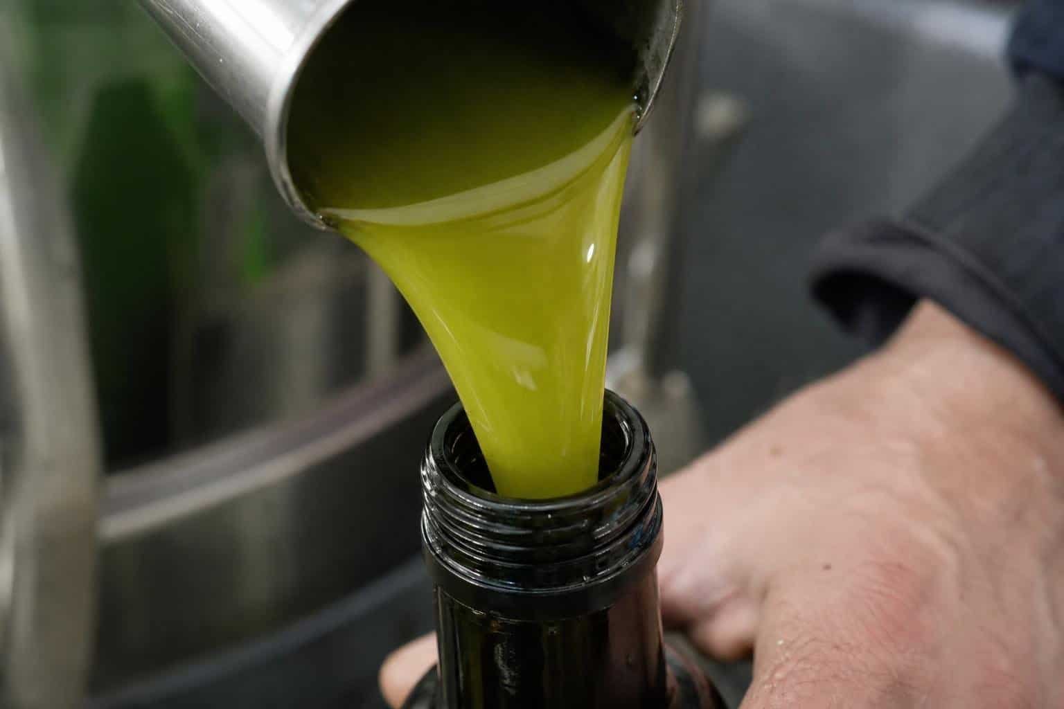 New Tuscan Olive Oil Pasquini December 2026 and 2026 Harvest